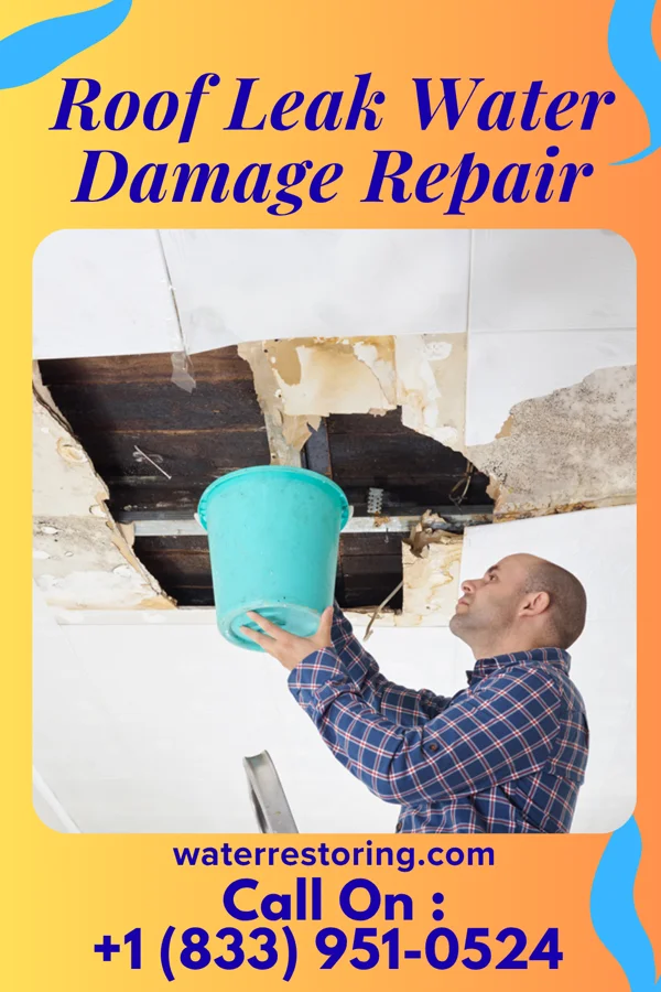 Roof Leak Water Damage Repair in Morningside, SD