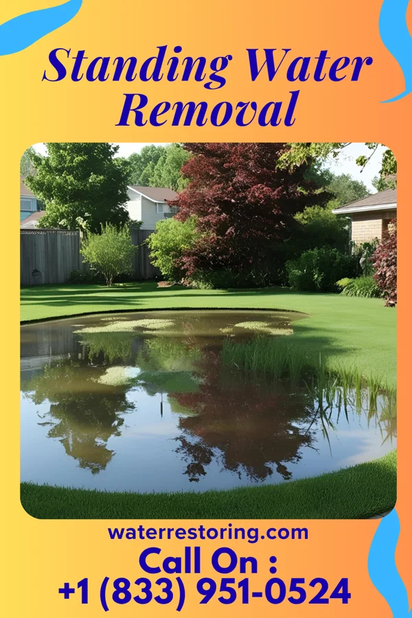 Standing Water Removal in Morningside, SD